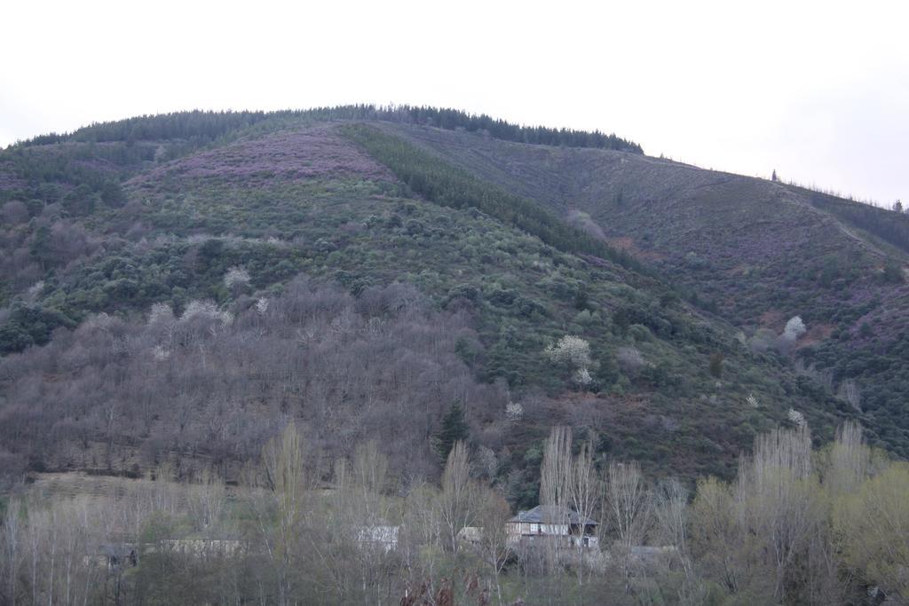 Venecia Bed&Breakfast Villafranca Del Bierzo Εξωτερικό φωτογραφία